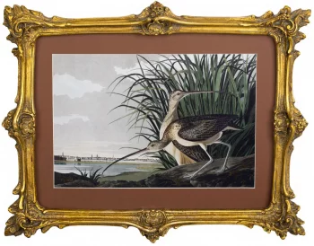 Картина Kuo 39X31 CM