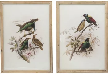 Постеры Birds 50X70 / 50X70 CM