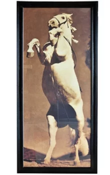 Постер Stanley's Horse 101X226 CM