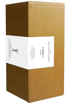 Диффузор ароматический The Olphactory Cosy Santal 500 ml
