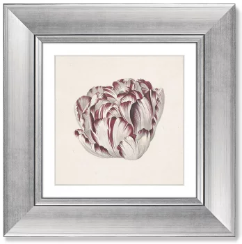 Диптих Tulp 36X36 / 36X36 CM