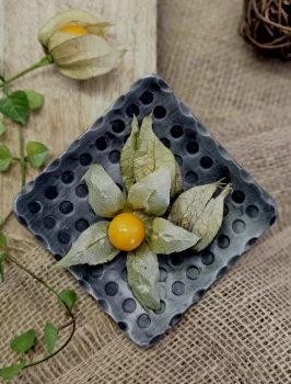 Блюдо декоративное маленькое 10X10X2 CM