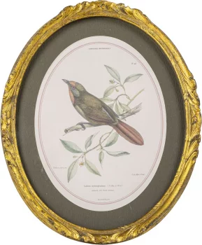 Панно настенное Birdwatcher 23X28 CM