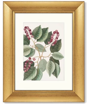 Диптих Pigeon-Plum 41X51 / 41X51 CM