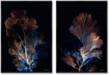 Композиция из двух репродукций картин на холсте Coral Symphony in the Color of Night 75X105 / 75X105 CM
