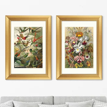 Диптих Art forms of nature 51X71 / 51X71 CM