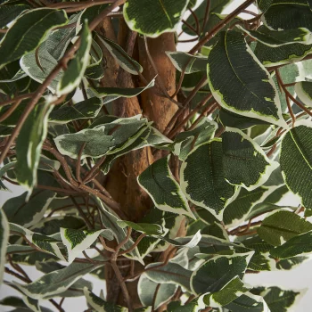 Искусственное растение Ficus 80X70X175 CM