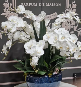 Аромадифузор Luxury Orchid 60X60X74 CM