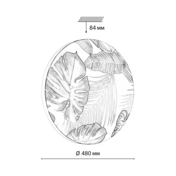 Накладной светильник Flori