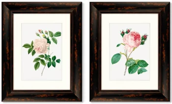 Диптих Antique plants drawn 41X51 / 41X51 CM