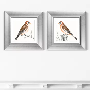 Диптих Goldfinches 36X36 / 36X36 CM