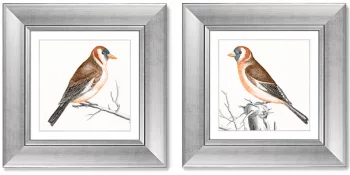 Диптих Goldfinches 36X36 / 36X36 CM