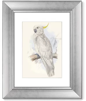 Диптих White cockatoo 41X51 / 41X51 CM