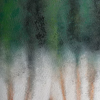 Холст Alerce 200X200 CM