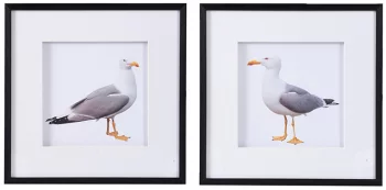 Набор из двух постеров Seagulls 56X56 CM