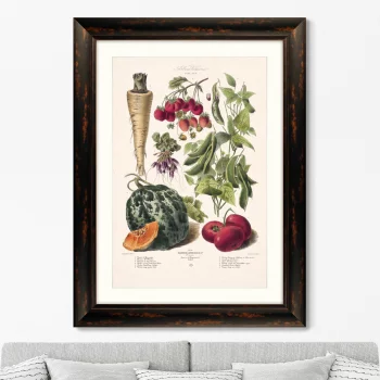 Постер Vilmorin Andrieux & Cie 61X81 CM