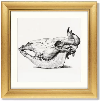 Постер Skull 61X61 CM