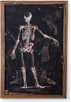 Картина Le plan The Bones 40X60 CM