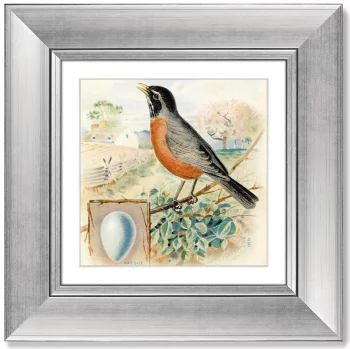 Постер Vintage postcard 36X36 CM