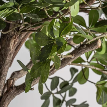 Искусственное растение Ficus 70X70X230 CM