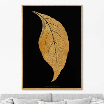 Постер на холсте Green Adelaster Albivenis 75X105 CM