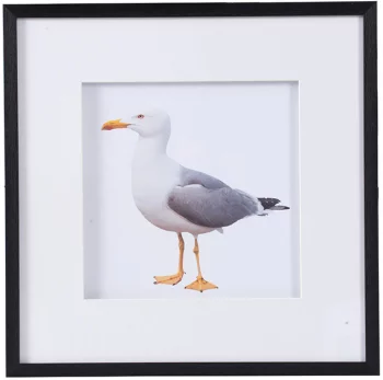 Набор из двух постеров Seagulls 56X56 CM