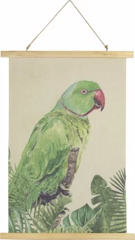 Постер Parrot 50X70 CM
