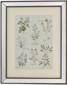 Постер Botanic 40X50 CM