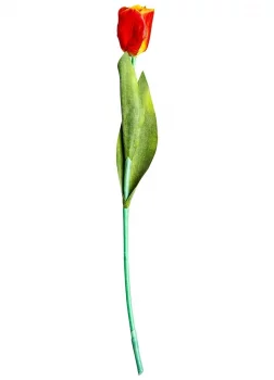 Цветок тюльпана искусственный Tulipan 64 CM