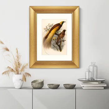 Постер Big Bird of Paradise 41X51 CM