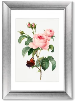 Диптих Antique plants drawn 51X71 / 51X71 CM