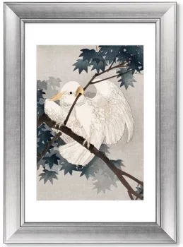 Постер Yellow crested cockatoo 51X71 CM