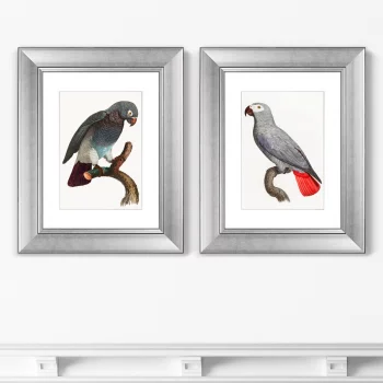 Диптих Beautiful parrots 41X51 / 41X51 CM