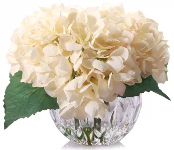 Букет гортензий ароматический Hydrangeas 26X26X32 CM champagne