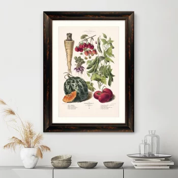 Постер Vilmorin Andrieux & Cie 61X81 CM