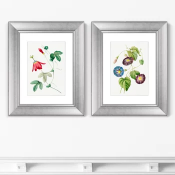 Диптих Antique plants drawn 41X51 / 41X51 CM