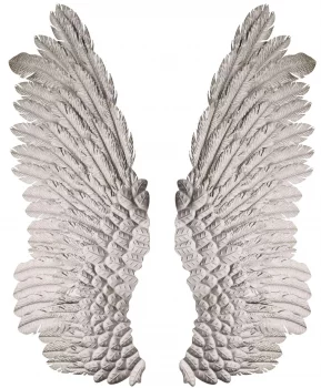 Панно в виде двух крыльев Wings 116X45 / 116X45 CM