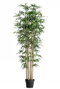 Искусственное растение Bambu 50X50X180 CM