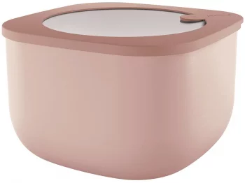 Контейнер для хранения Store&More 2800 ml