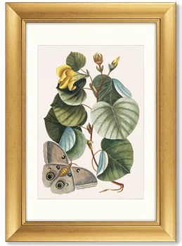 Диптих Beauty bloom 51X71 / 51X71 CM