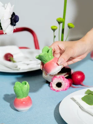 Набор из солонки и перечницы radish 5