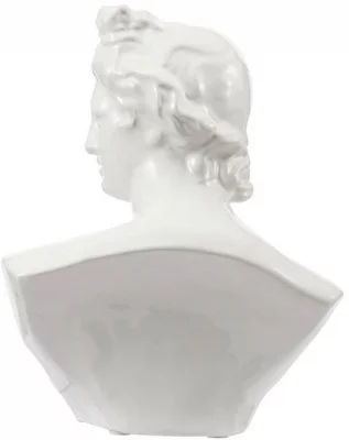 Бюст David 18X14X24 CM 7