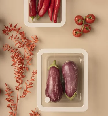 Контейнер для хранения стеклянный с вакуумным эффектом 25X21X8 CM 3
