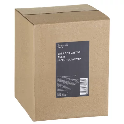 Стеклянная ваза Agnis 13X13X16 CM 10