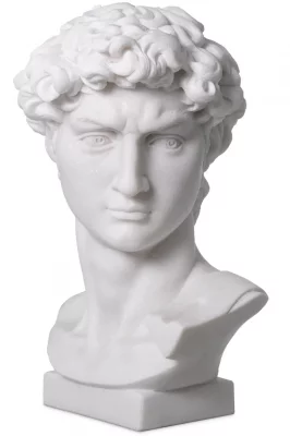 Декоративный объект Head David 42X27X66 CM 3