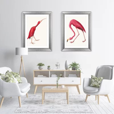 Постер Scarlet Ibis 61X81 CM 7
