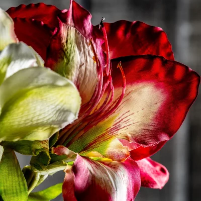 Цветок искусственный Amaryllis 73 CM 5
