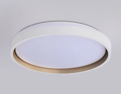 Накладной светильник Ambrella Light FZ607 8