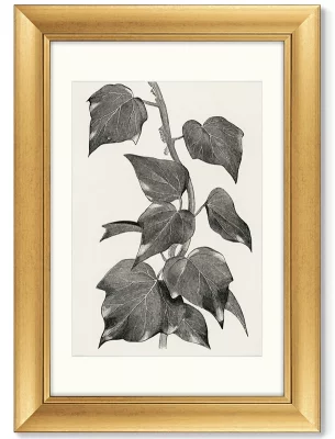 Диптих Melanocarpa from The Ivy 51X71 / 51X71 CM 4