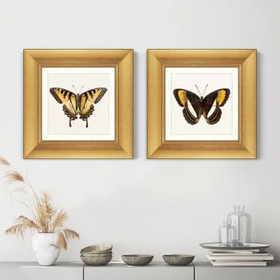 Диптих Two butterflies 36X36 / 36X36 CM 5